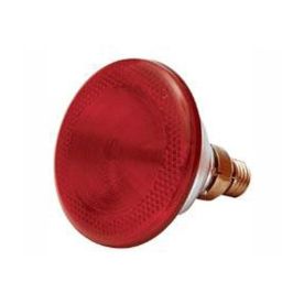Poltek - Poultry Infra Red Lamp 175W 1/100 - 2 Pack