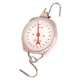 Camry Scale Suspended 100 kg