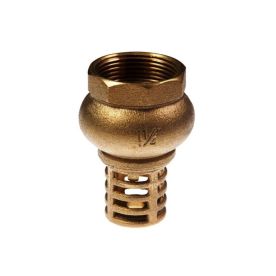 Foot Valve H/D Brass 65mm