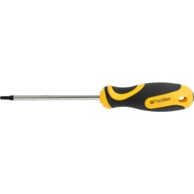 Screwdriver Torx Tamper Proof T15 5x100mm - 2 Pack