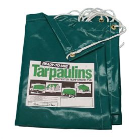 Protarp PVC Tarpaulin 550g 3X4M Green